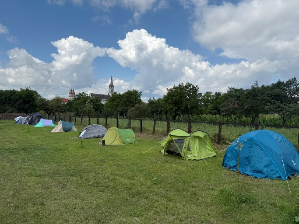 3 Paws Camping Bontida