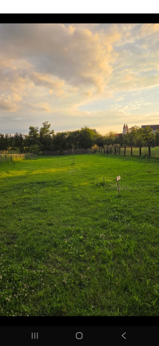 3 Paws Camping Bontida