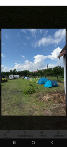 3 Paws Camping Bontida