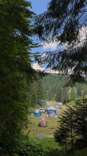 Camping Stâna de Vale