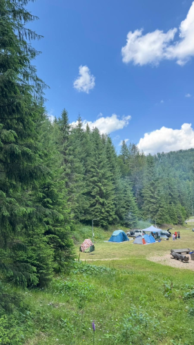 Camping Stâna de Vale