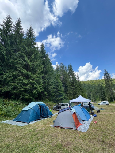 Camping Stâna de Vale