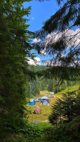 Camping Stâna de Vale