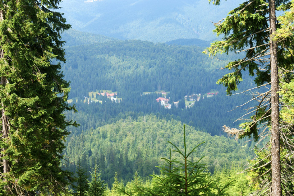 Camping Stâna de Vale