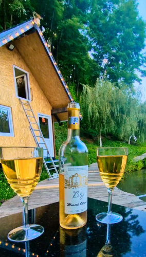 Casa Din  Vale  campare / cazare Lodroman 