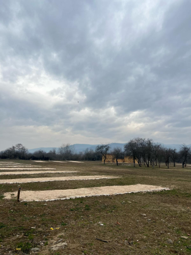 Parcare Rulote Gurasada Park