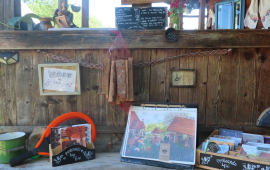 Camping Babou Maramures