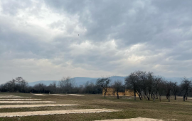 Parcare Rulote Gurasada Park